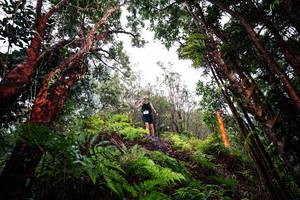 BIB: 
                            <button type="button" onclick="openModal(26201575)" class="btn btn-primary btn-sm float-right btn-popup" data-toggle="modal" data-target=".modal-high-quality">
                        <i class="fas fa-shopping-cart"></i> Add to Cart
                    </button>
                                            <button type="button" onclick="isThisMe(26201575, true)" class="btn btn-success btn-sm float-right btn-popup btn-isme hidden" data-toggle="tooltip" data-placement="bottom" title="นี่คือรูปของคุณใช่ไหม คลิกที่นี่เพื่อเอาเข้าอัลบั้ม">
                        <i class="fas fa-plus"></i> Add to album
                    </button>
                    <button type="button" onclick="isThisMe(26201575, false)" class="btn btn-warning btn-sm float-right btn-popup btn-isnotme hidden">
                        <i class="fas fa-ban"></i> Remove from album
                    </button>